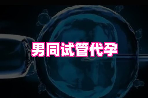 深圳助孕网站 2