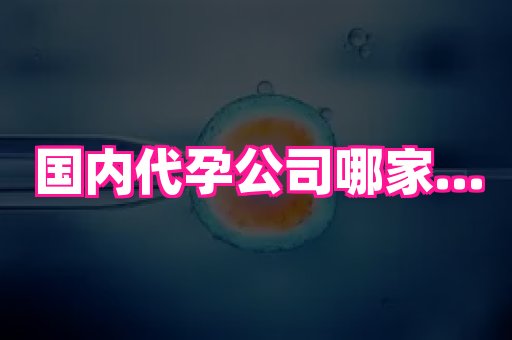 深圳助孕网站 4